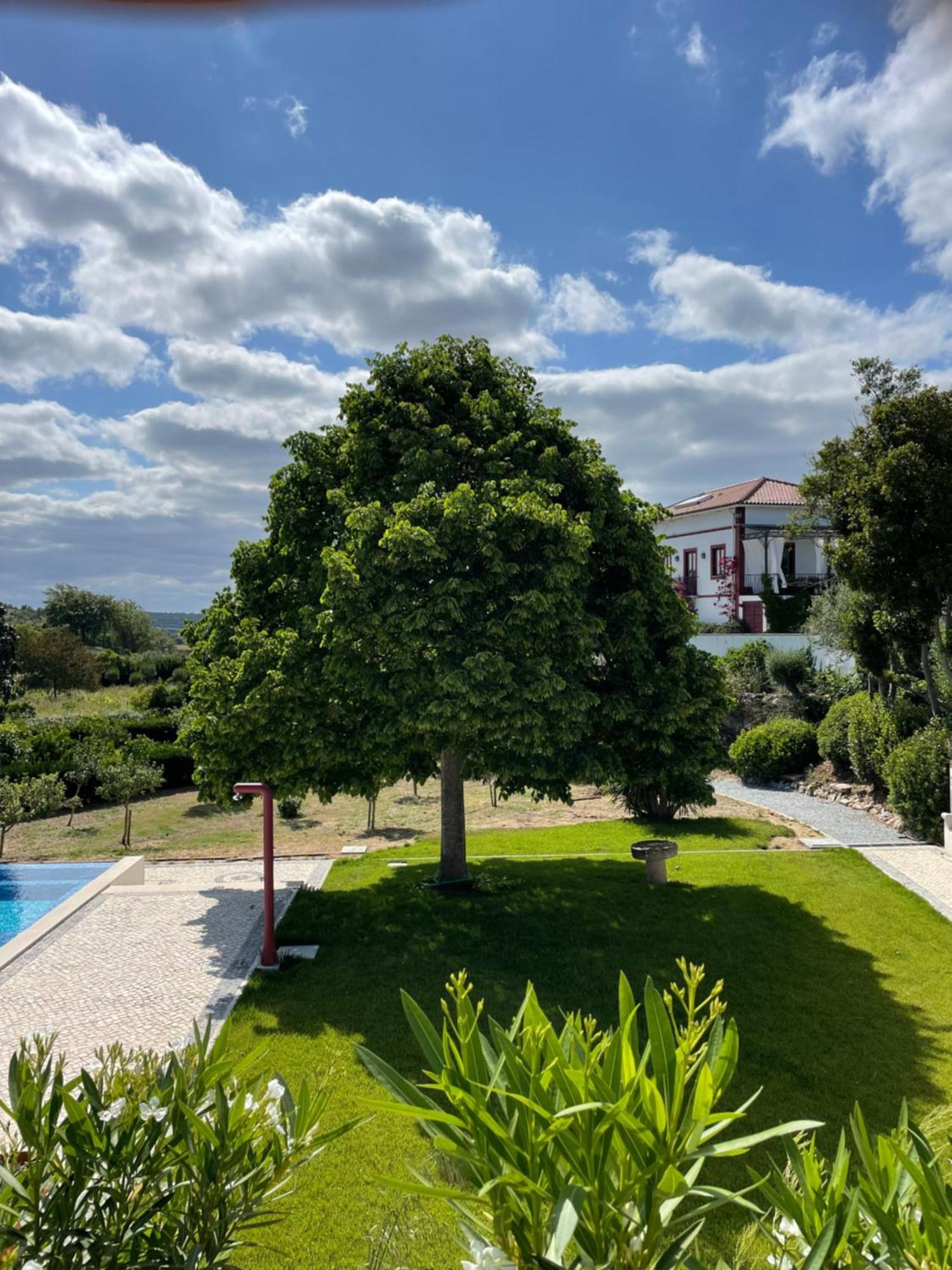 Апартаменти Quinta Da Asneira Монтемор-у-Нову Екстер'єр фото